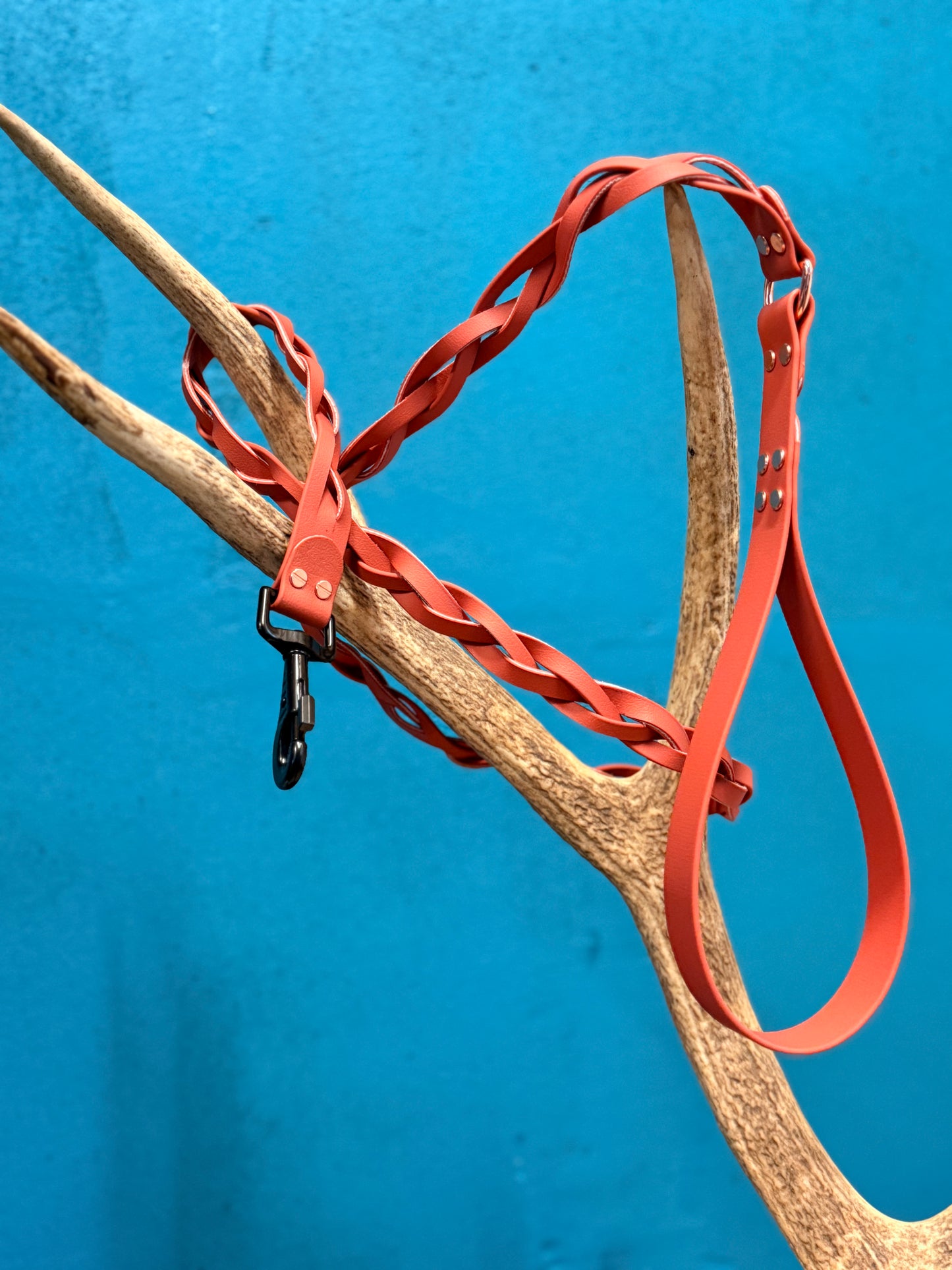 ✨ La Laisse Dakota ✨