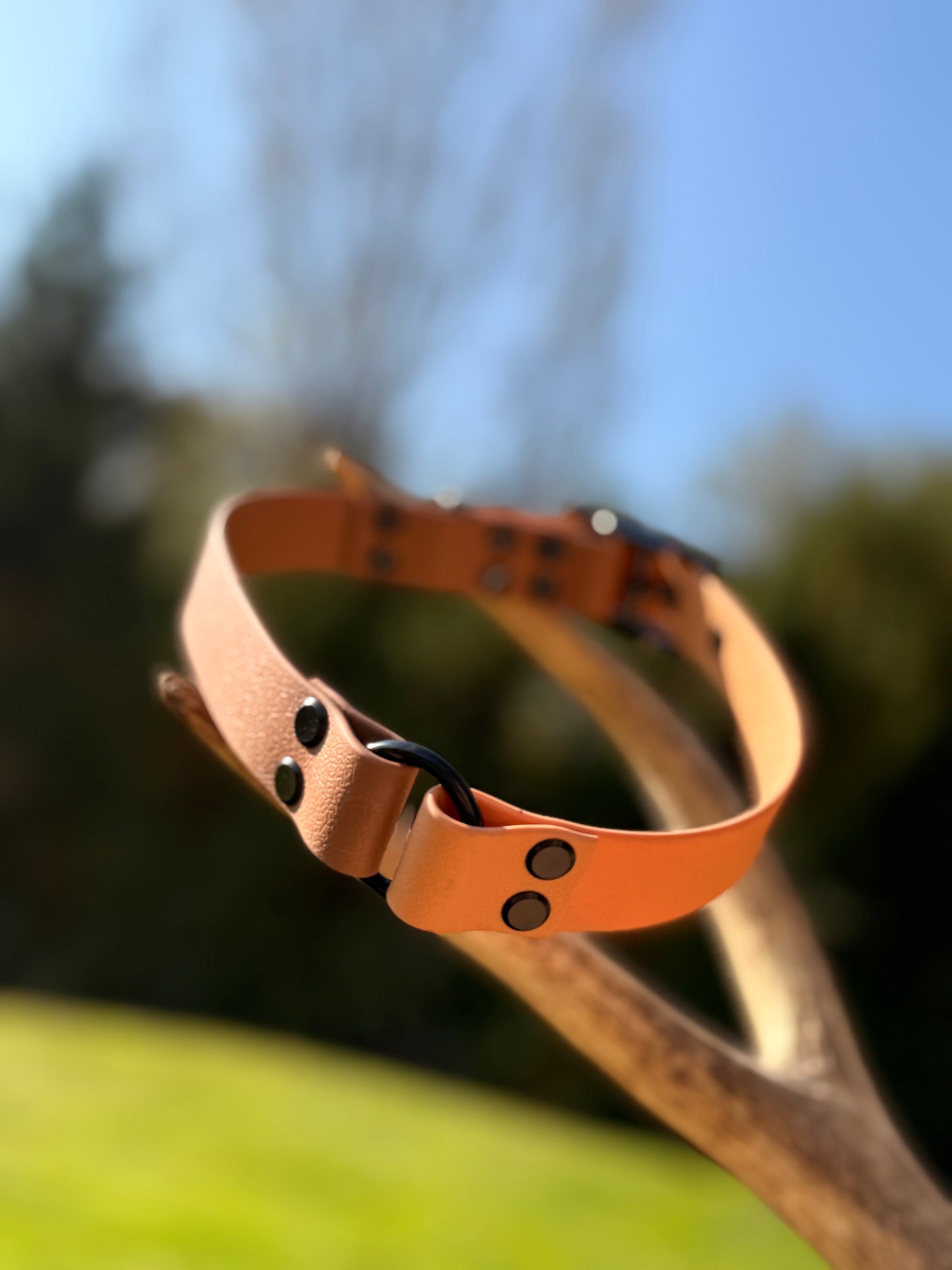 Collier Duo Élégance